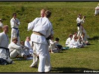 2011 06 26 4210-border